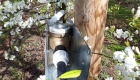 un compteur d eau sur une rampe de micro-aspersion