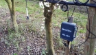 PRUNE AMERICANO-JAPONAISE  plantation en Axe, 5x2m, micro-aspersion, avec sondes WATERMARK installées à 15/30/45/60cm